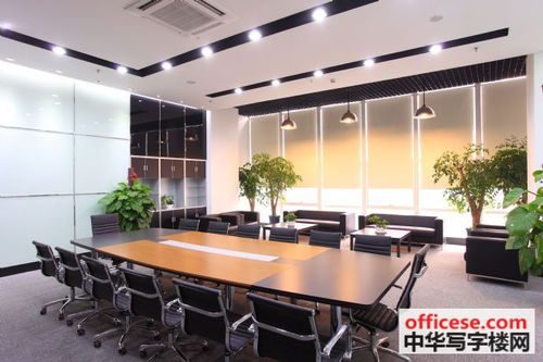 舜泰广场写字楼出租，高新区会议服务满足多样化需求