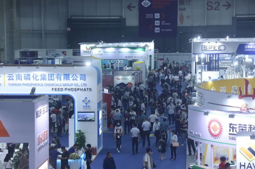 20000余农业品牌齐聚新区，国际化展会助力农业现代化